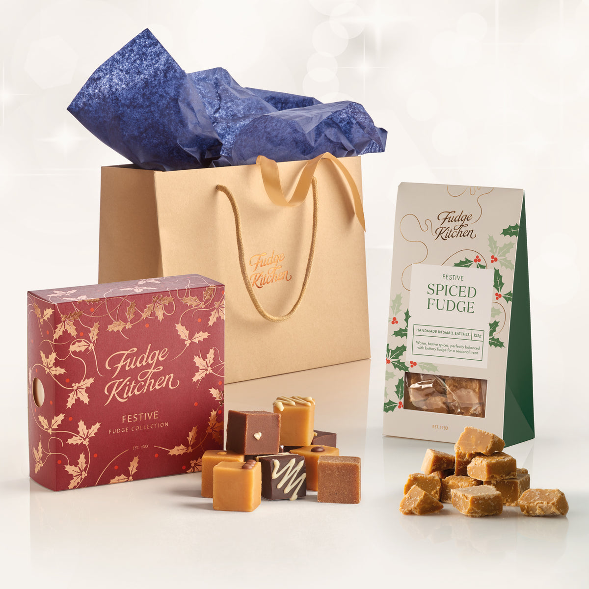 Christmas Gift Bag