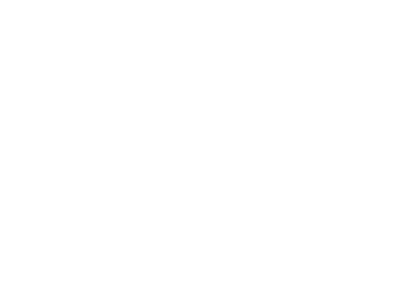 a white icon of a leaf